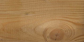 Growth rings, Knop and rays in timber
